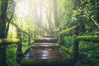 Caminho da Luz